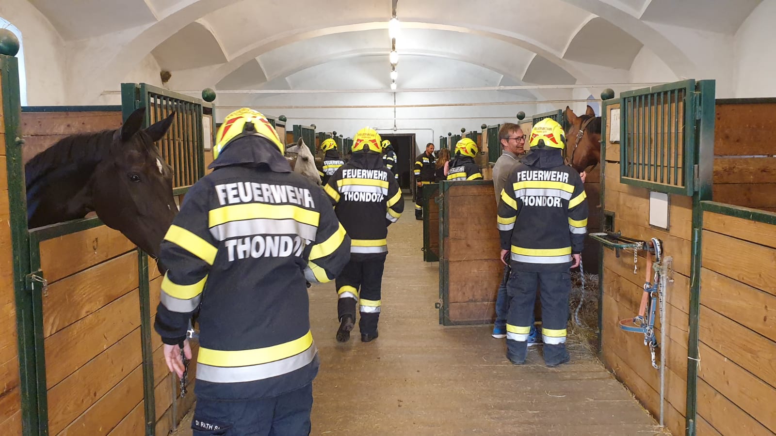 7_IMG-20210606-WA0006